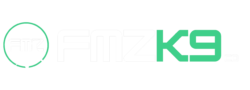 fmzk9 logo transparent